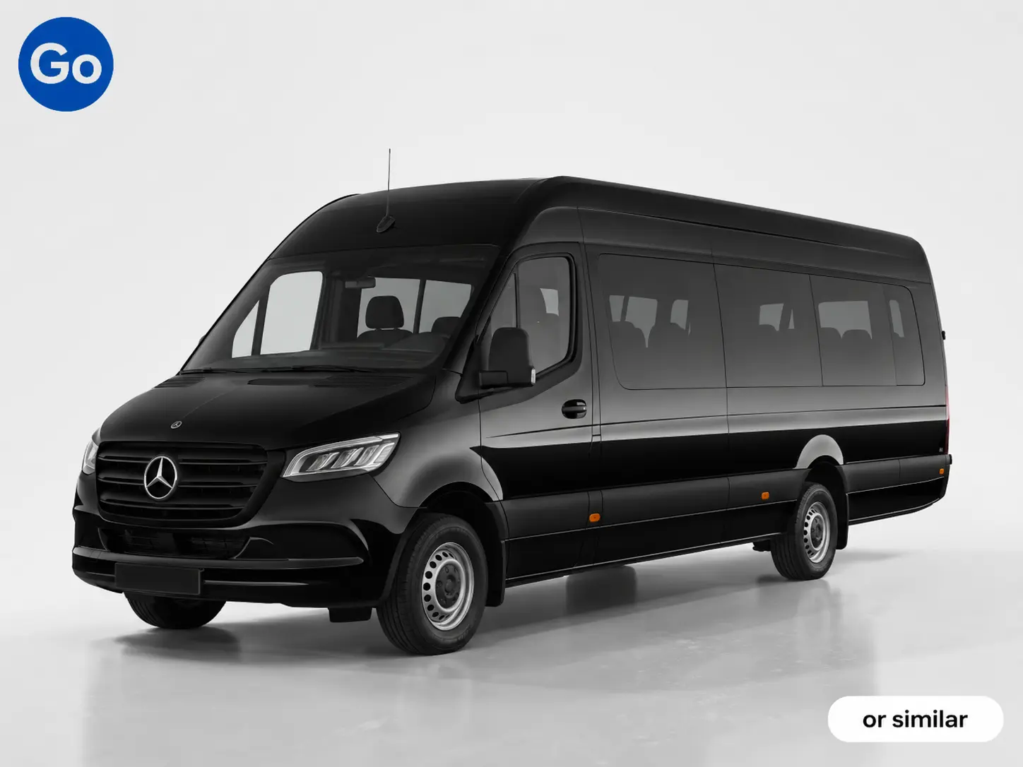 Large Sprinter Minibus — Up to 19 example