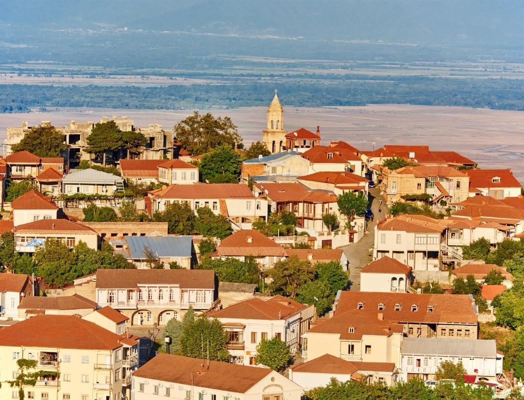 სიღნაღი გოგორია